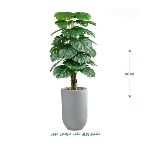 شجرة مونستيرا صناعية فاخرة في حوض أرضي أنيق متوفر...