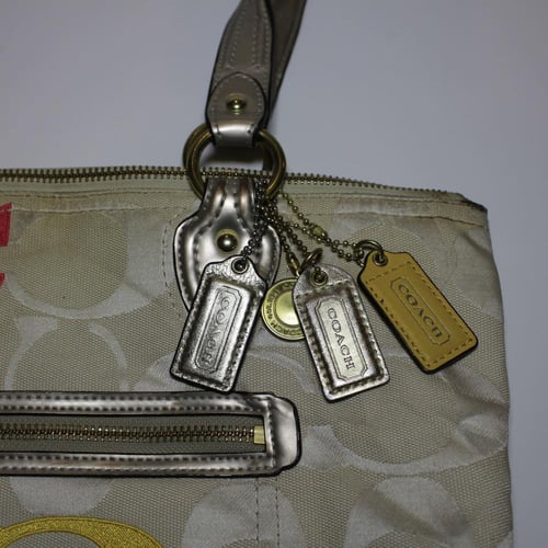 Coach Poppy Embroidered Shoulder Bag