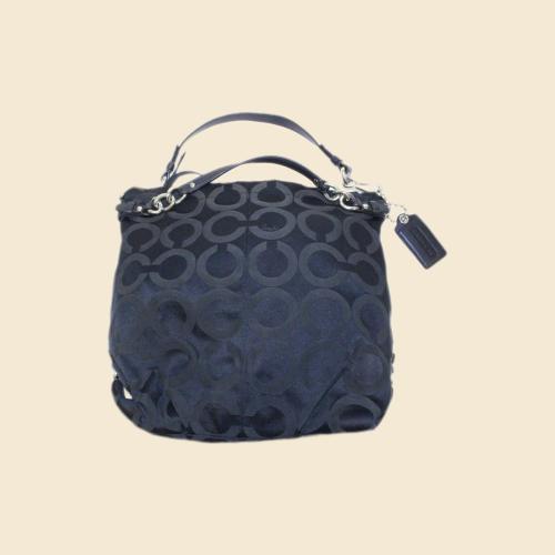 2009 Coach Brooke Hobo