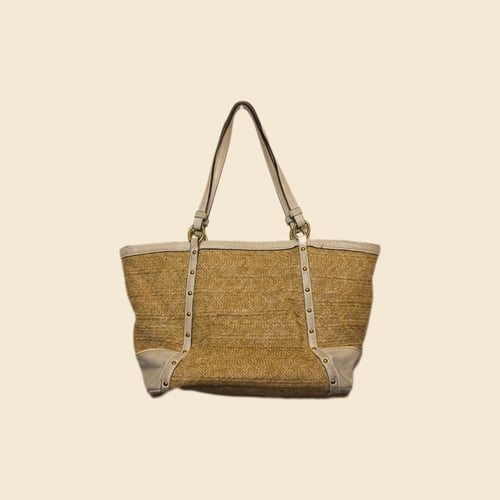 Coach Alexandra Python tote