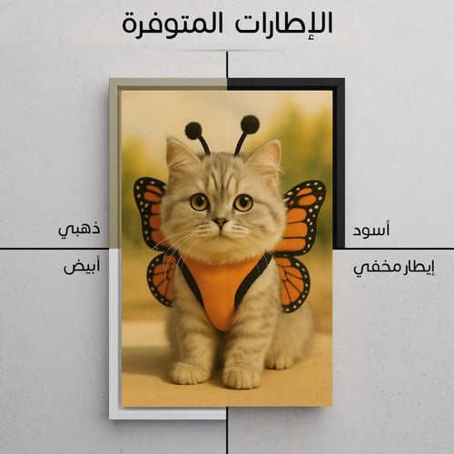 لوحة الفراشة