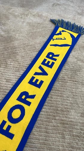 شال النصر ( محال سوى النصر أهوى محال )