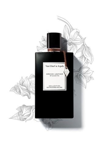 مجموعة عطر فان كليف اند اربلز اكسترودنري كولكشن