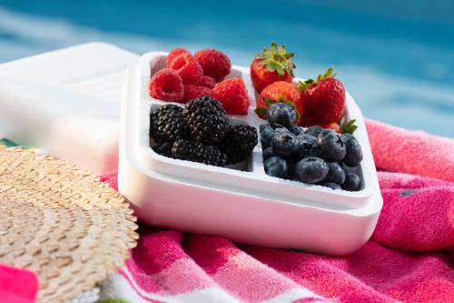 EPS ICE CREAM CONTAINERS #4