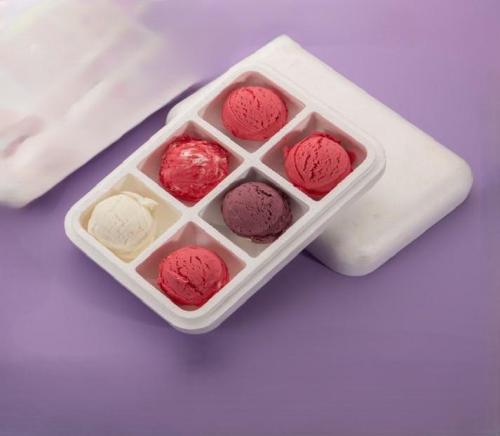 EPS ICE CREAM CONTAINERS #6