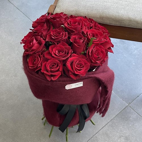 باقة شال الشتاء