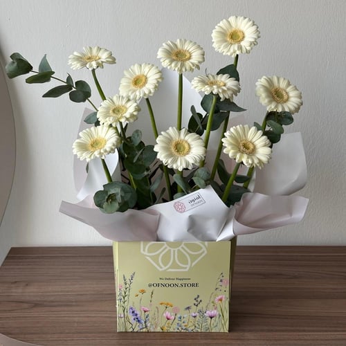 باقة جربيرا