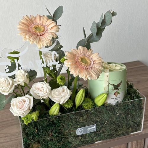 ستاند تشوكلت