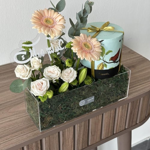 ستاند تشوكلت