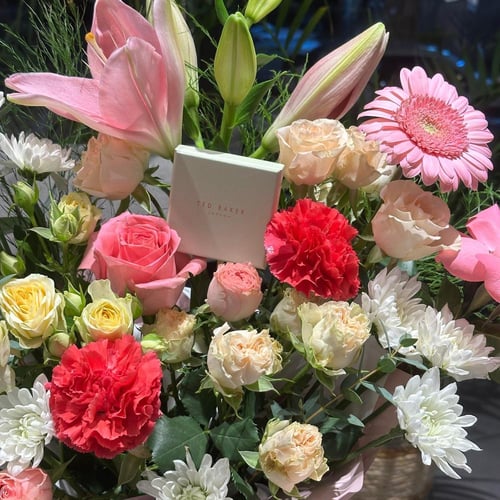 اسوره تيد بيكر مع بكج افنون المميز