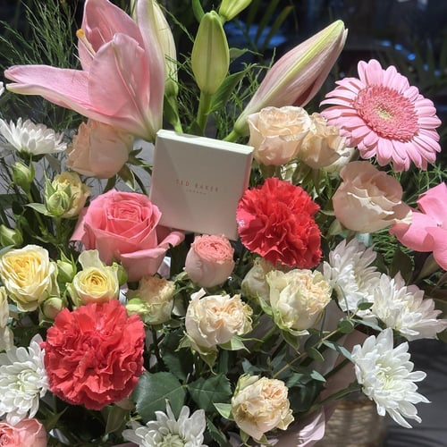 حلق تيد بيكر مع بكج افنون المميز