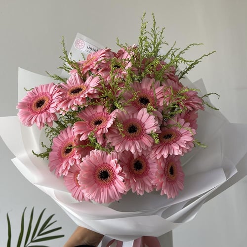 باقة جربيرا