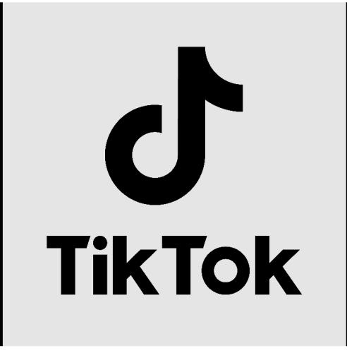 TikTok marketing course