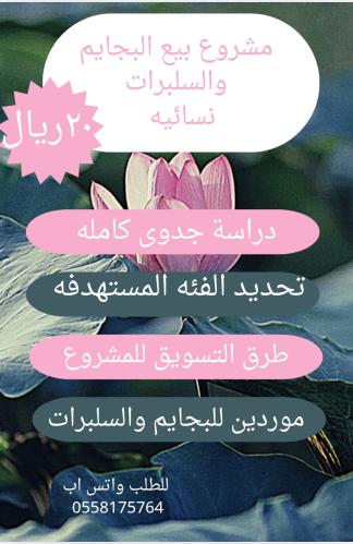 دراسة جدوي مشروع بيع بجايم وسلبرات