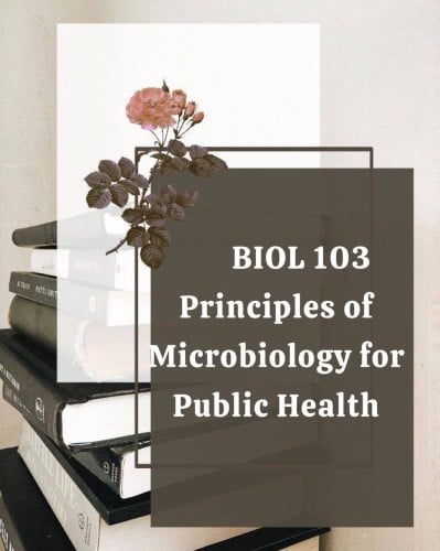 حل و تنسيق مادة BIOL 103