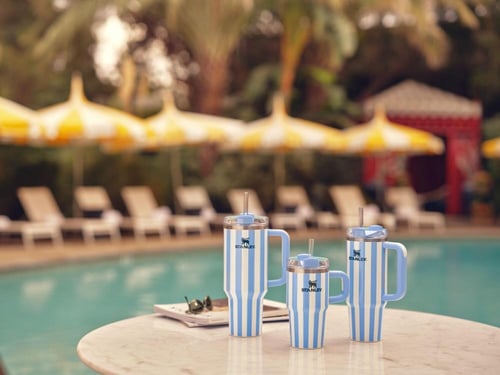 Stanley summer tumbler