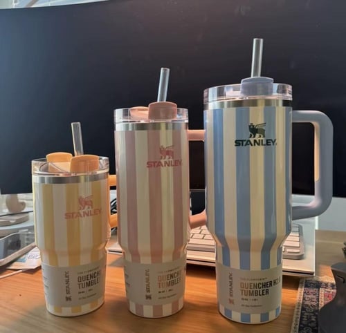 Stanley summer tumbler