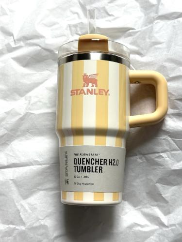Stanley summer tumbler