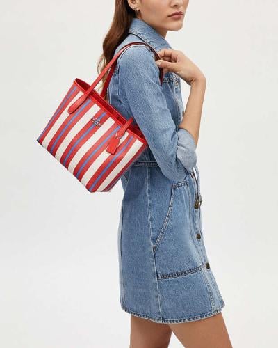 Coach strips mini bag