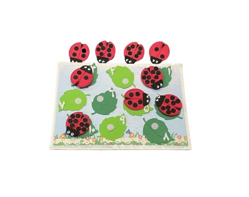 Number ladybug