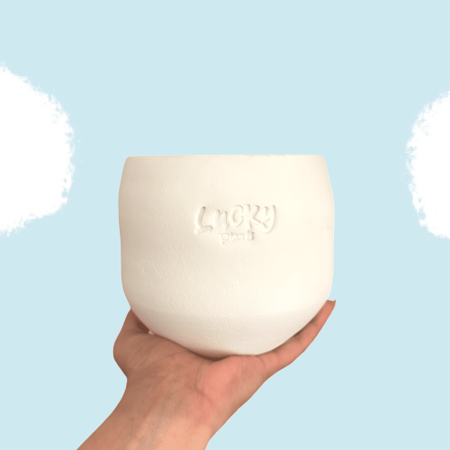 عيدية (Light Beige Space رسمة واحدة فقط) التسليم 2...