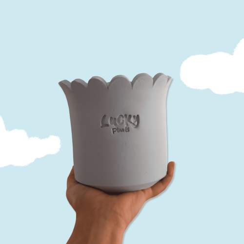 Cloudy Bloom (رسم حسب الطلب) رسمة وحدة فقط