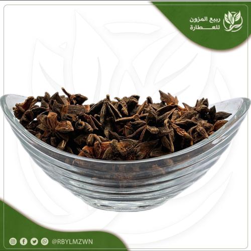 نجمة الينسون