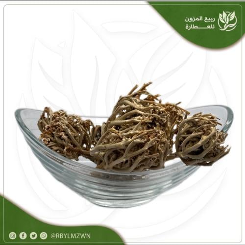 كف مريم