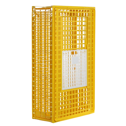 صندوق نقل الدجاج الكبير 50 حبة