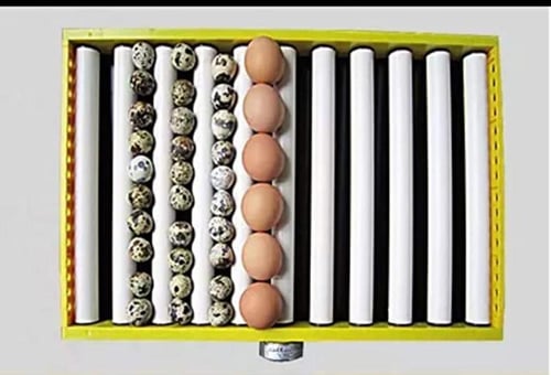 فقاسة رول 500 بيضة