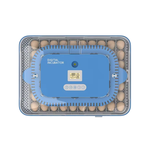 فقاسة 70 بيضة أوتوماتيكية بنظام تقليب تدحرج وتحكم...