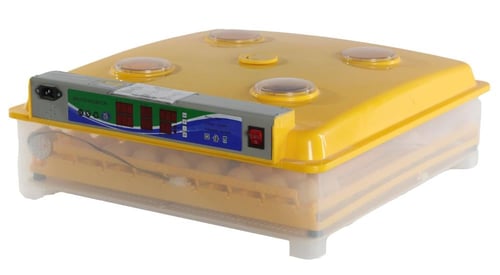 فقاسة 98 بيضة