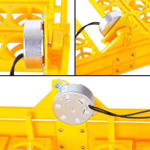 فقاسة بيض سعة 48 بيضة أوتوماتيك عملية للهواة والمز...