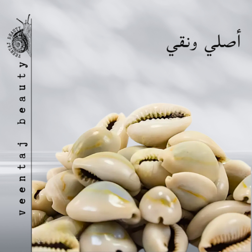 الودع المغربي الأصلي 150غرام