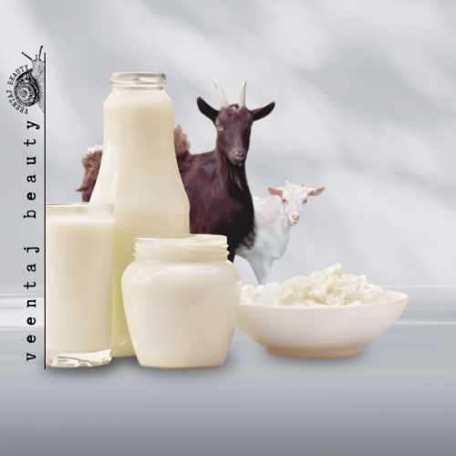 صابونة حليب الماعز الفاخرة