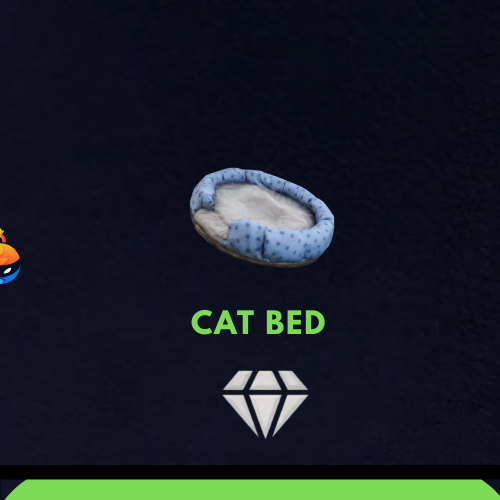 Cat bed