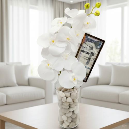 White Luxe وايت لوكس