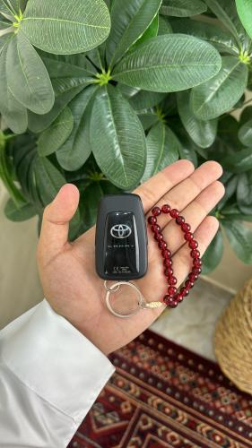 ميدالية عنابي