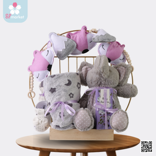 بكج هدية مواليد بناتي BG034