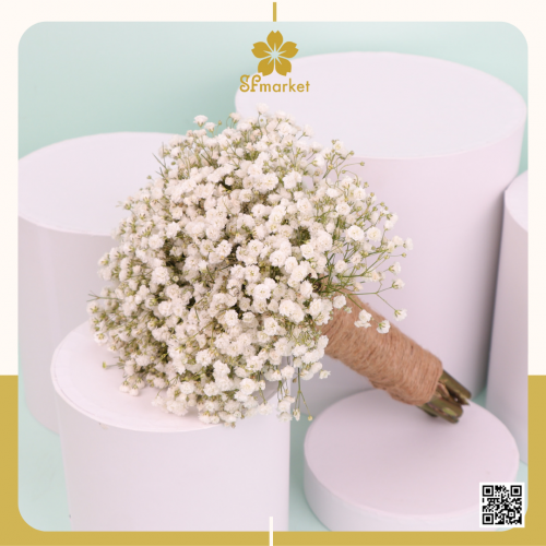 باقة ورد مسكة مني صغيرة جبسن طبيعي NF067