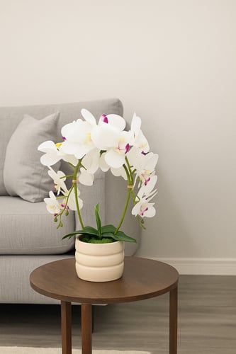 فازة زهور الأوركيد