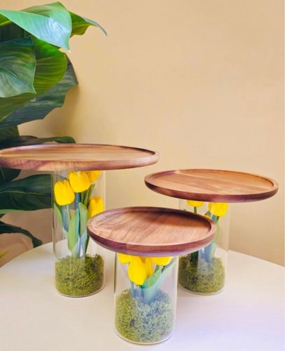 زهور التوليب