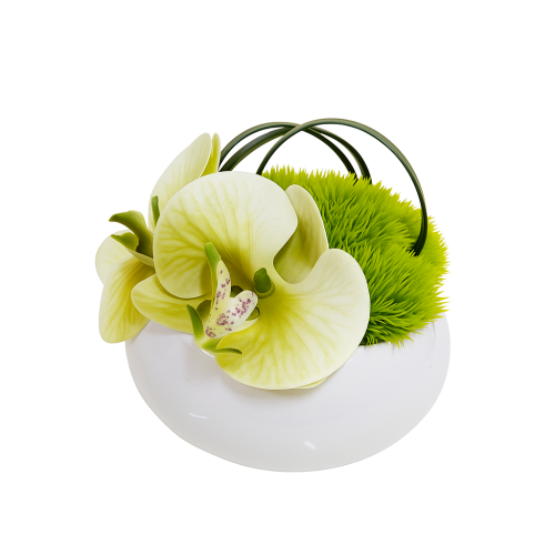 زهور الأقحوان