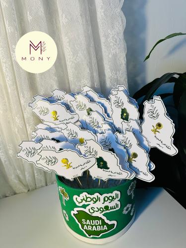 بوكس بروش مغناطيس