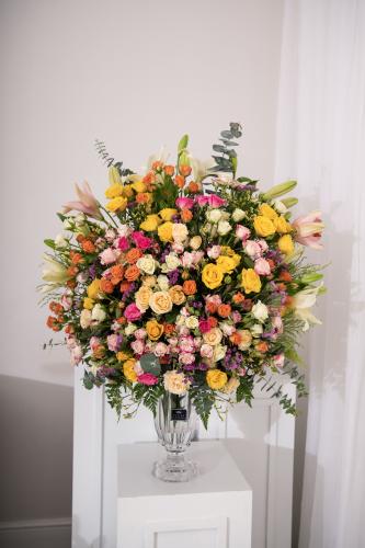 فازة لكجري - Luxury