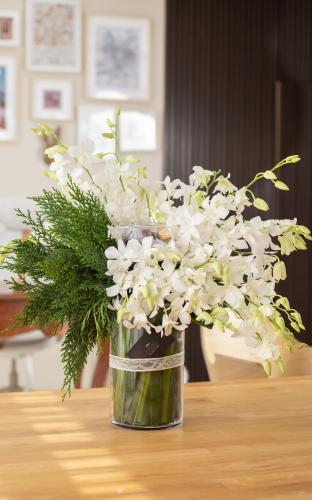 فازة الوداد