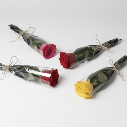 توزيعات الورد الطبيعي