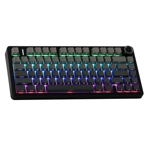 احرف عربي انجليزي Moktik × Aula F75 Pro (Gray) Reaper Switch