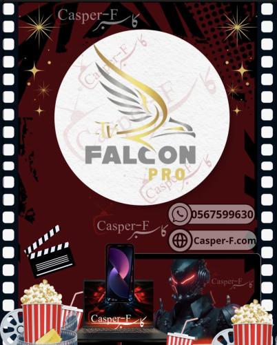 اشتراك فالكون شهر