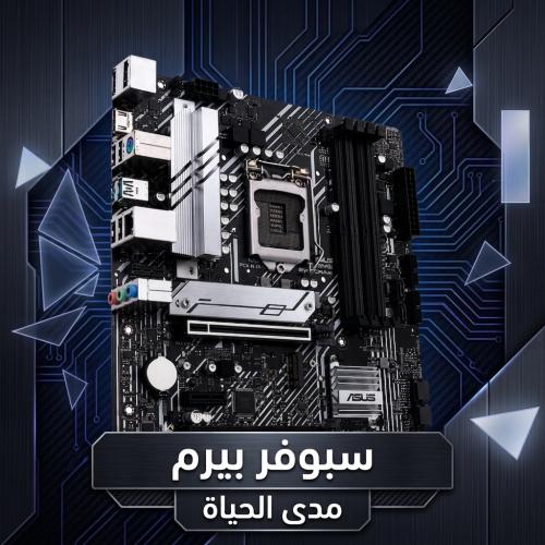 سبوفر بيرم ( مدى حياة )